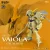 ファイブスター物語　VAI O LA CRUMARS II　再販