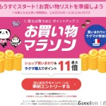 楽天　お買い物マラソン 240204